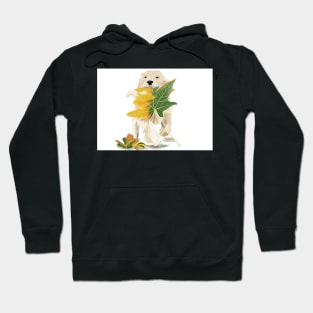 Goldren Retriever puppy Hoodie